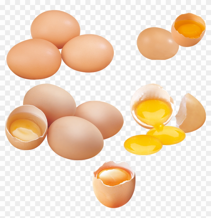 Yolk Chicken Eggshell - Egg #960793
