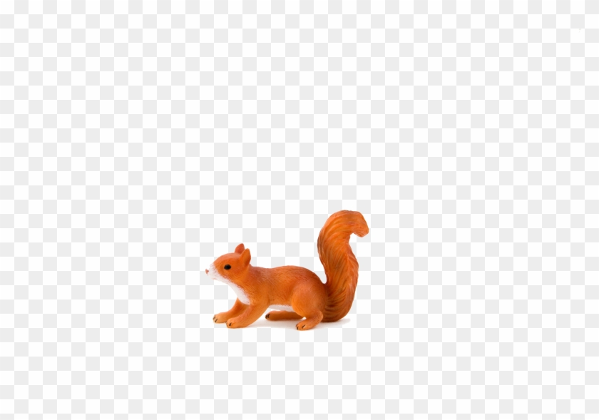 Animal Planet Red Squirrel Running - Animal Planet: Squirrel Running - Free  Transparent PNG Clipart Images Download