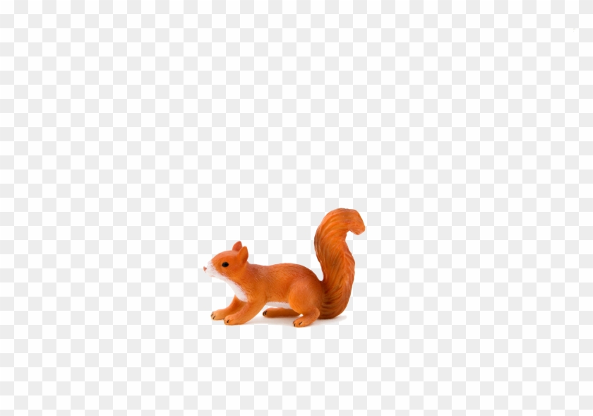 Animal Planet Red Squirrel Running - Animal Planet: Squirrel Running #960876