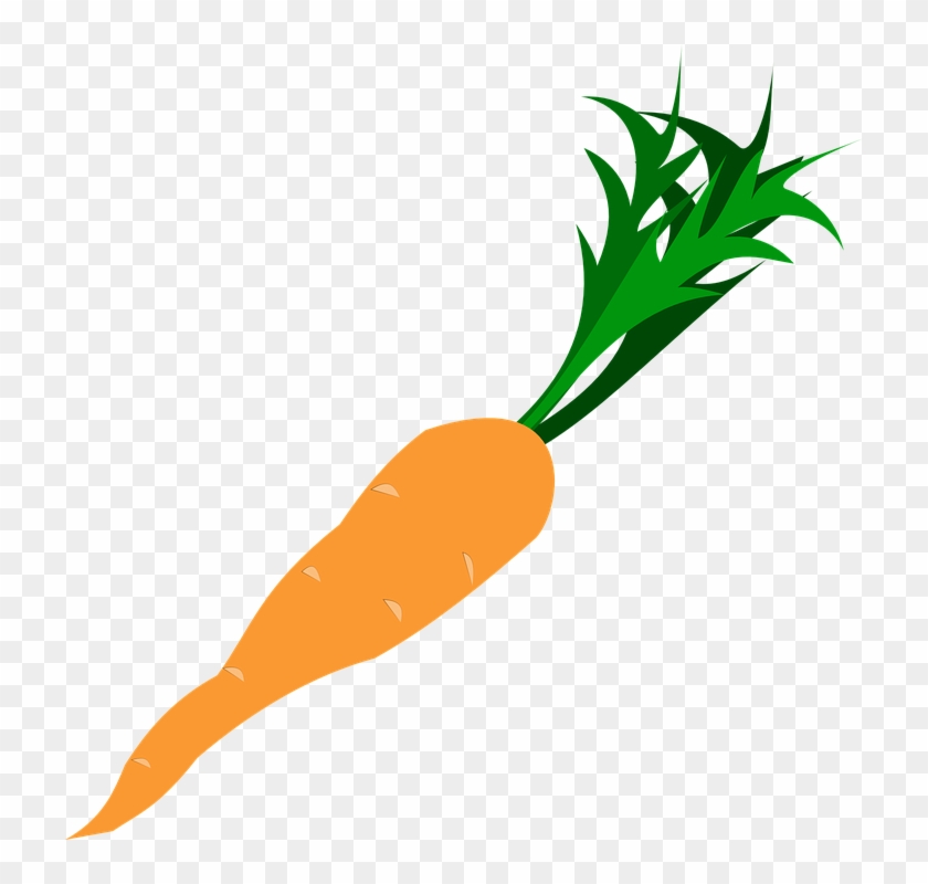 Picture Of A Carrot 24, Buy Clip Art - Carrot Clipart Png #960892