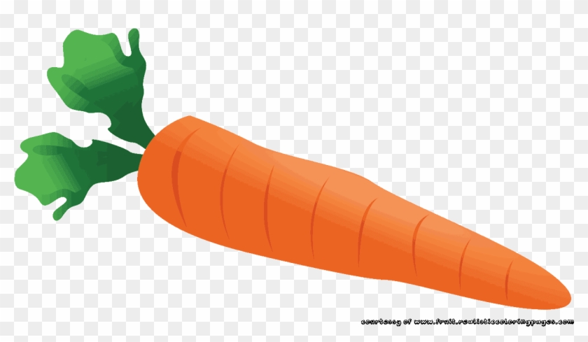 Carrot Clipart Single Vegetable Pencil And In Color - Carrot Clipart Transparent Background #960905