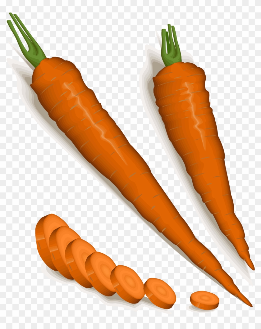 Free Photos > Public Domain Images > Orange Carrots - Carrot #960936
