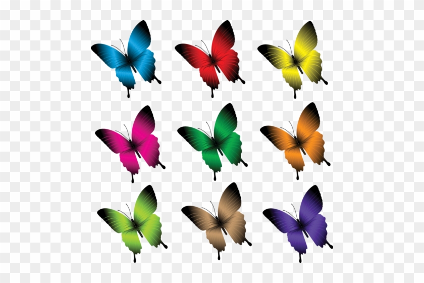 Beautiful Butterflies Vector - Set Of Butterflies Clipart #960976