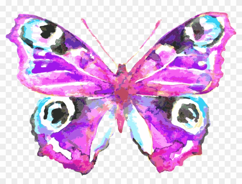 Butterfly Watercolor Painting Drawing Royalty-free - Watercolor Painting #960983