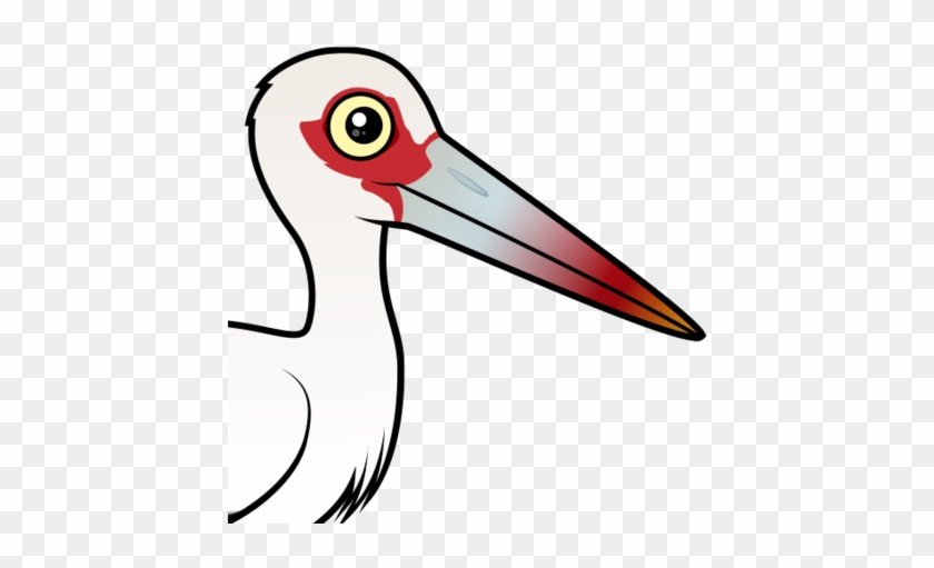 About The Maguari Stork - Maguari Stork #961112