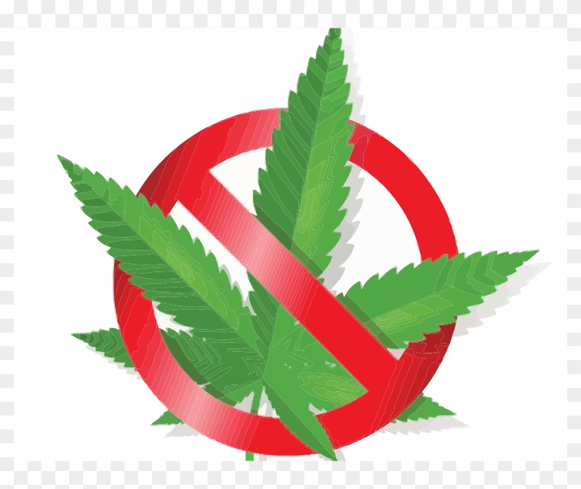Medium Image - No Cannabis #961144