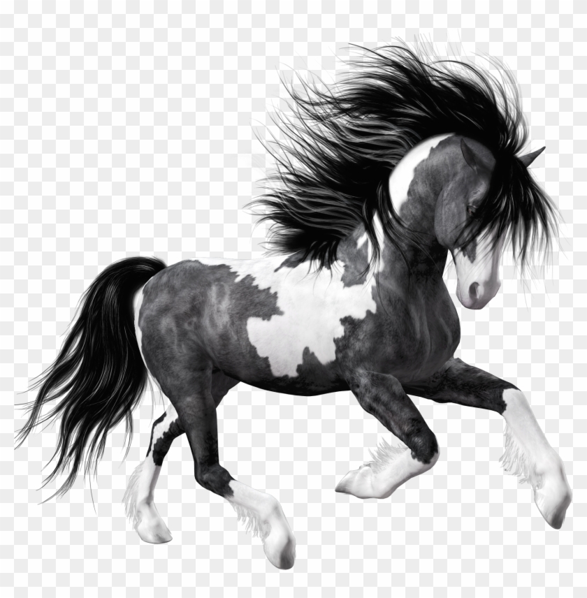 White Black Horse Png Clipart Picture - Black And White Horse Png #961266