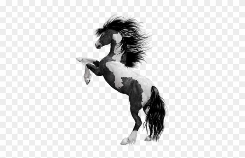 Cheval - Horse - Black White Horse Png #961271