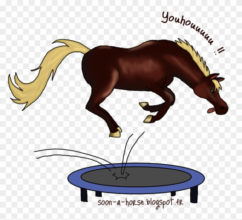 Résultats Cso - Horse #961295