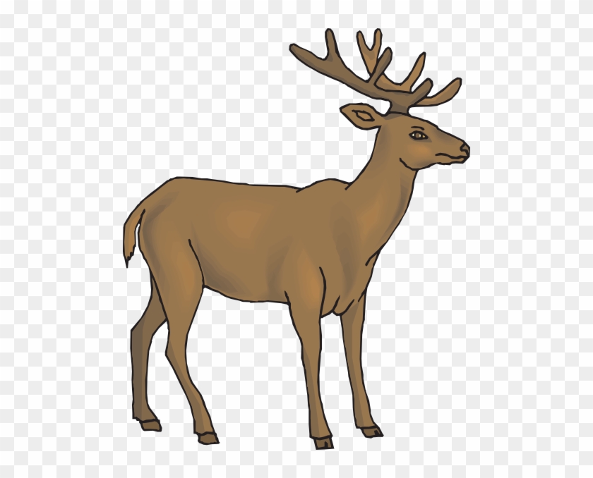 Brown Deer Clip Art At Clker Com Vector Clip Art Online - Deer Clipart #961404