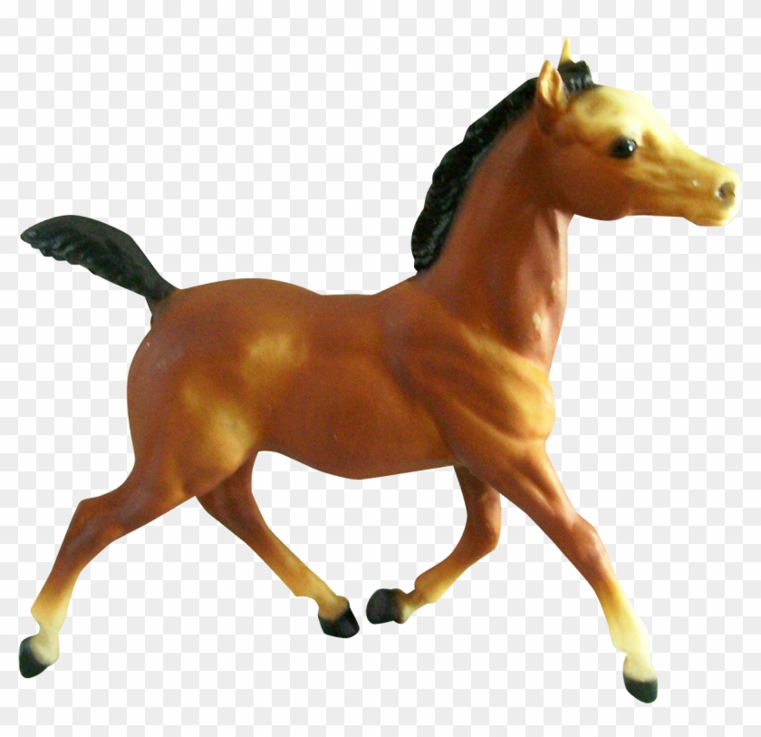 Horse #961405