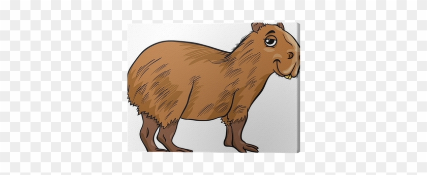 Capybara Animal Cartoon Illustration Canvas Print • - Capybara Cartoon #961439