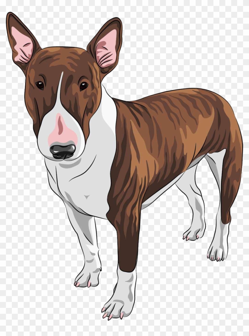 Staffordshire Bull Terrier Pit Bull English Toy Terrier - English Bull Terrier Cartoon #961486