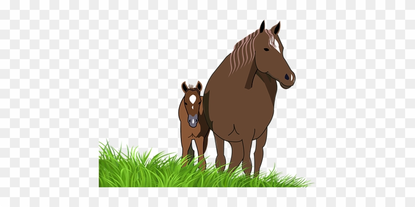 Foal Mare Horse Animal Foal Mare Horse Hor - Horse And Foal Clipart #961524