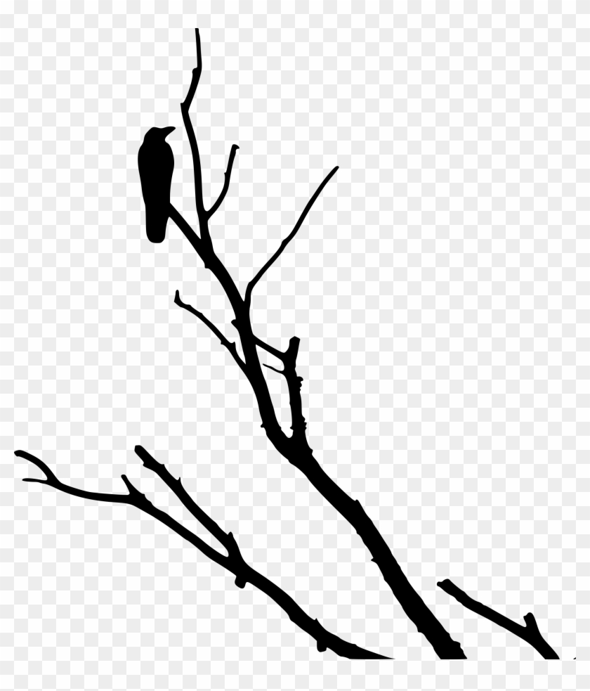 Crow On Dead Tree - Black Crow In Tree #961613