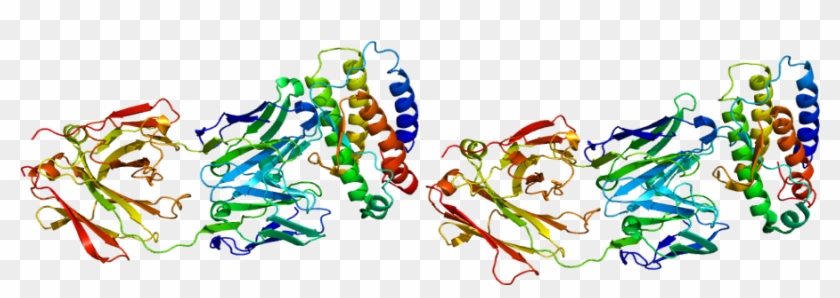 Graphic Design Line Font - Thrombopoetin #961722