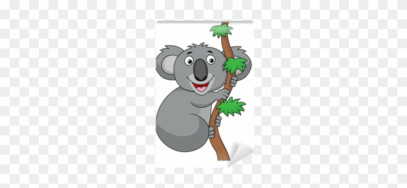 Koala #961746