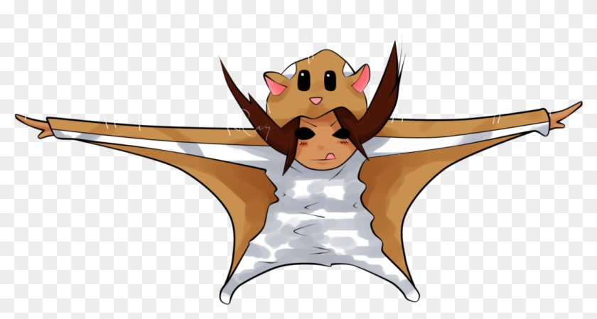 Cute Cartoon Flying Squirrel - Flying Squirrel Hd Drawing - Free  Transparent PNG Clipart Images Download