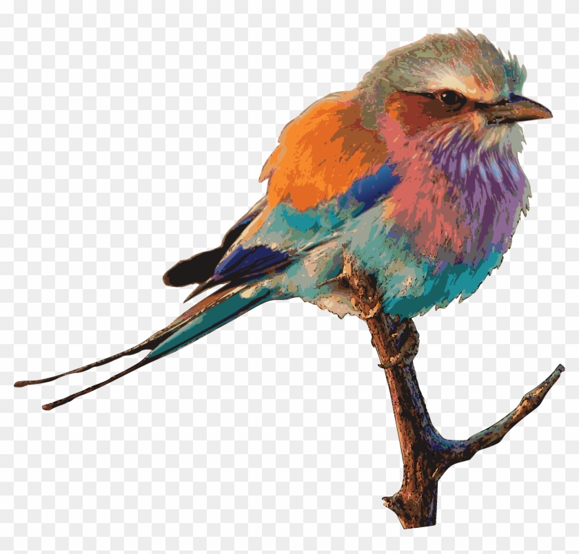 Free Clipart Of A Bird - Dessin Oiseau En Couleur #961791