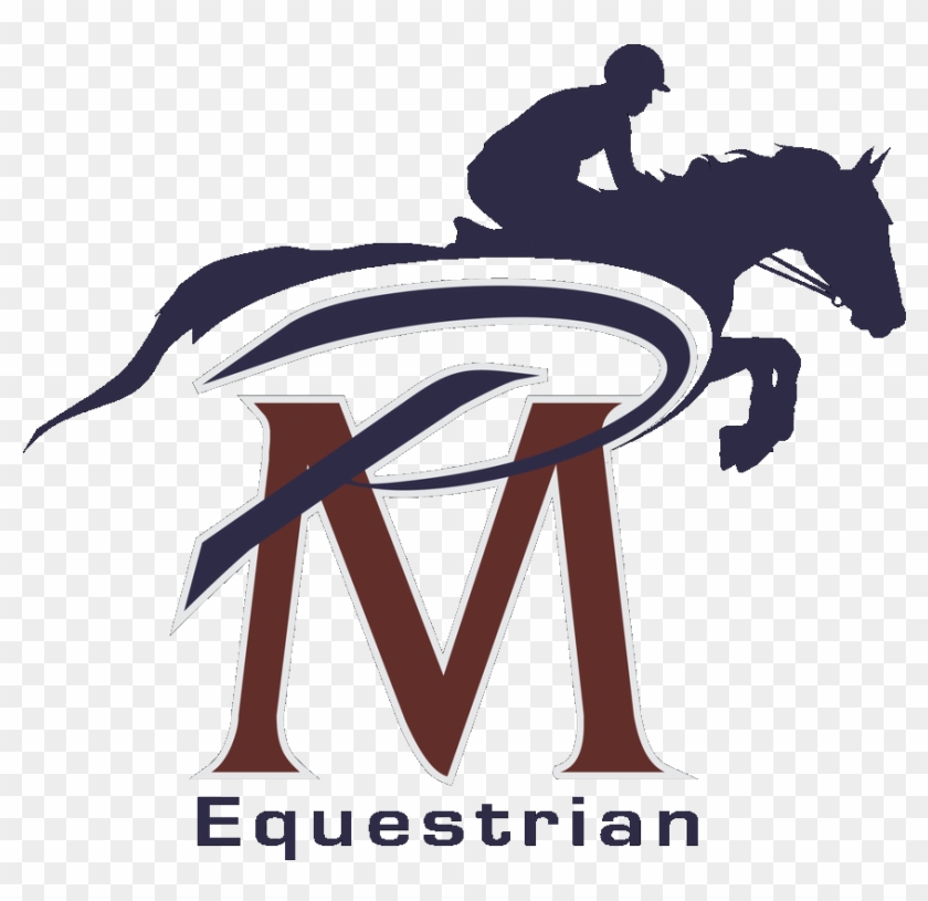 Pablo Mejia Equestrian, Llc - Stallion #961896