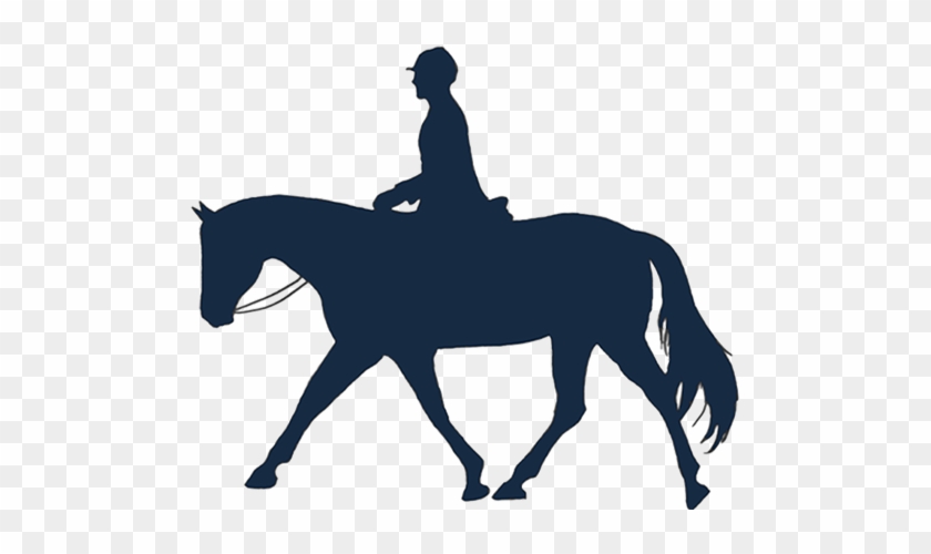 Conditioning - Horseback Riding Silhouette #961905