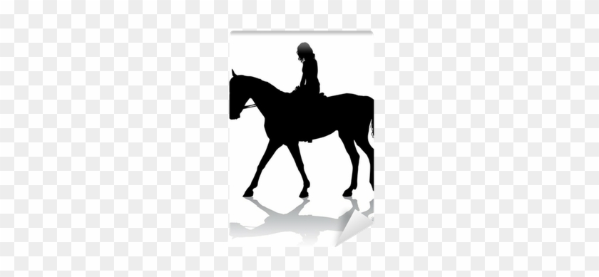 Horseman Silhouette #961907