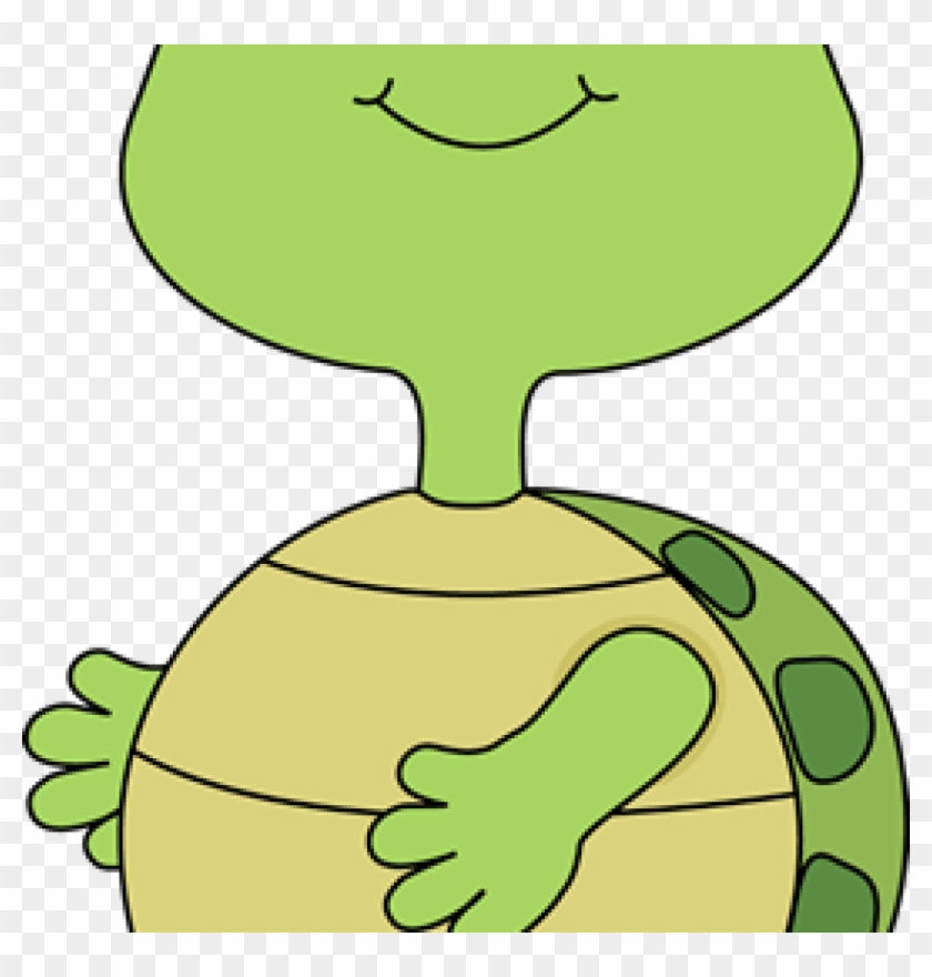 Cute Turtle Clipart Turtle Clip Art Turtle Images Classroom - Clip Art #962105
