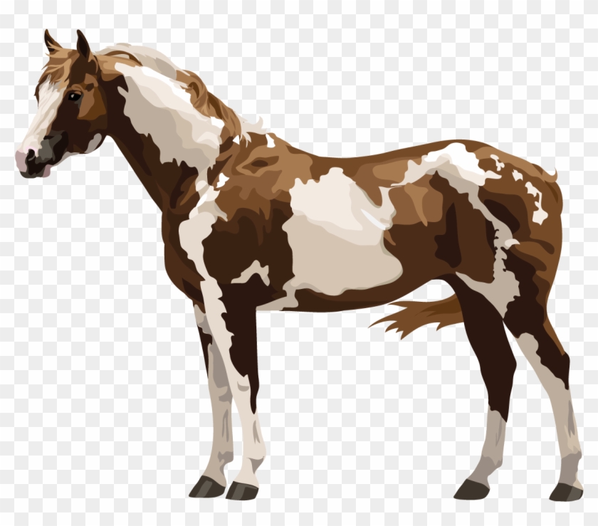 Paint Or Pinto - Pinto Horse Png #962341