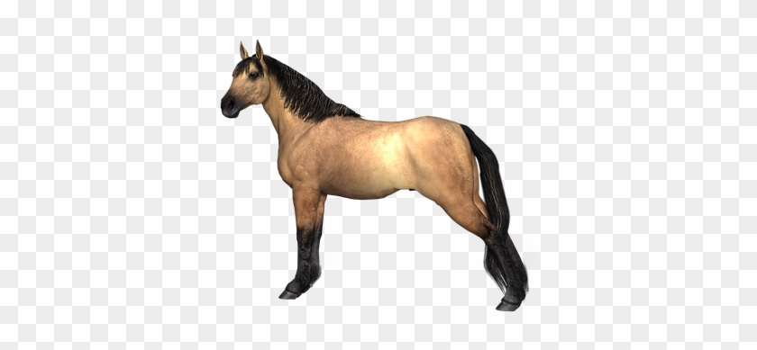 Horse Brown Animal Equestrian 3d Farm Rend - Tier Png #962347