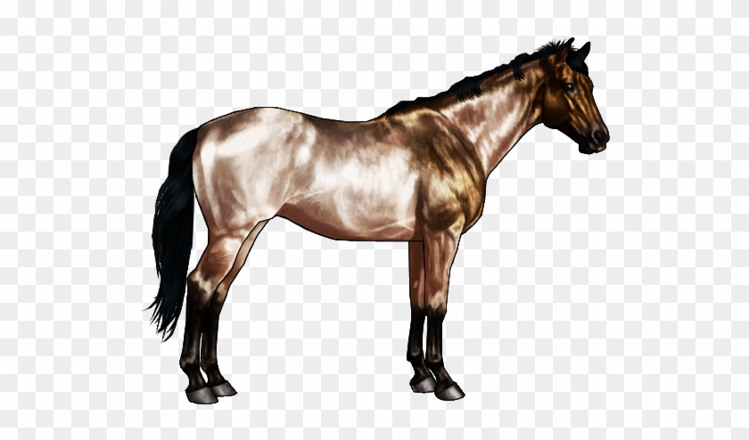 Bay Roans Are Bay Horses With The Roan Gene, They Retain - Horse Black And White Old #962351