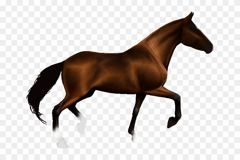 Enlarge - Transparent Animated Horse Gif #962422