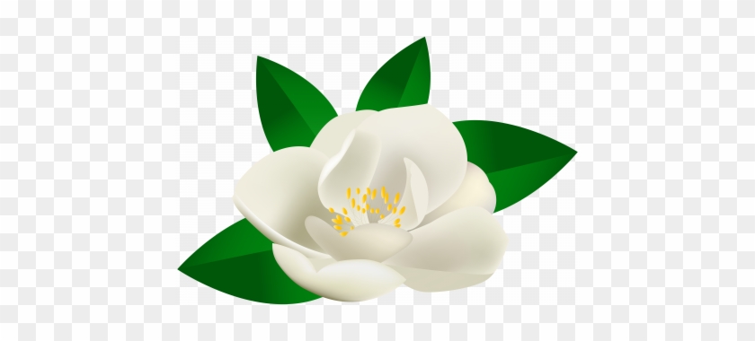 Rose Bush Clipart Transparent - Green Lotus Flower Transparent #962426
