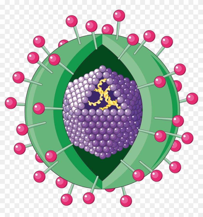 Download The Image - Hepatitis Virus Transparent #962800