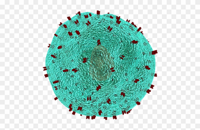 The Hiv Aids Virus Alert - Tumor Antigen Heterogeneity #962901