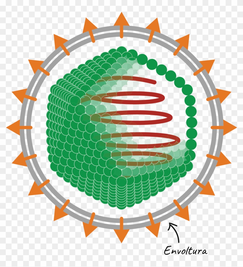 Diagrama De Un Virus Con Envoltura Icosaédrica - Working Symbol #962919