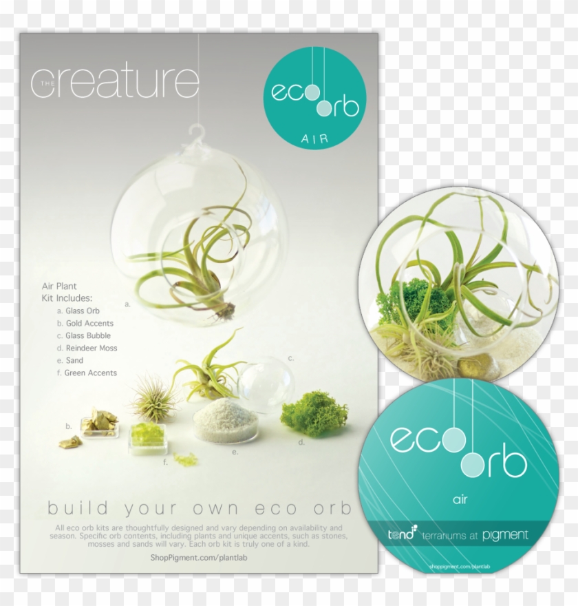 Product Package Design For The Build Your Own Eco Orb - Herbal #962927