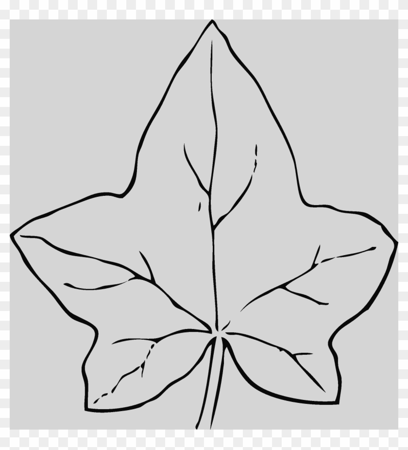 Ivy Leaf Clipart Free #963108