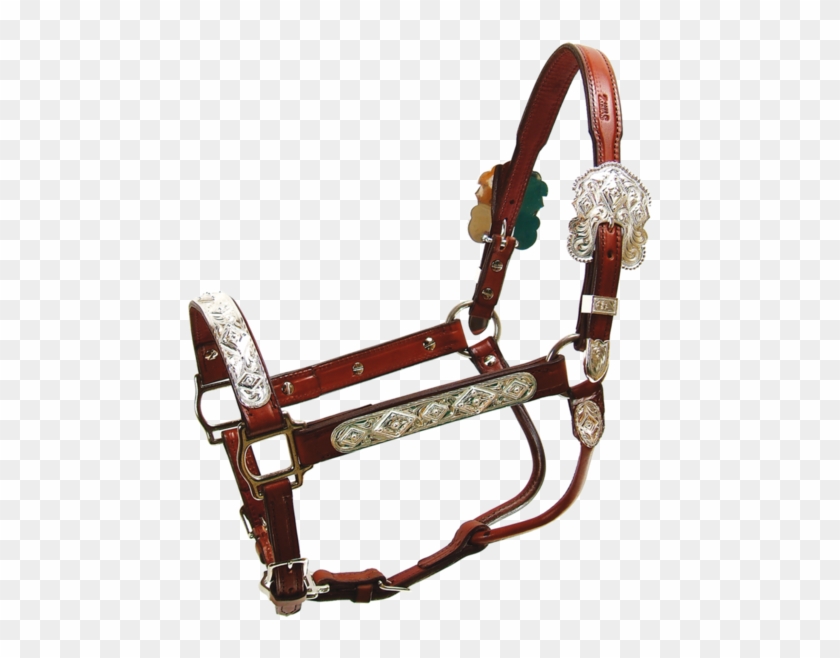 Silver Show Horse Tack - Amazon Cloudfront #963113