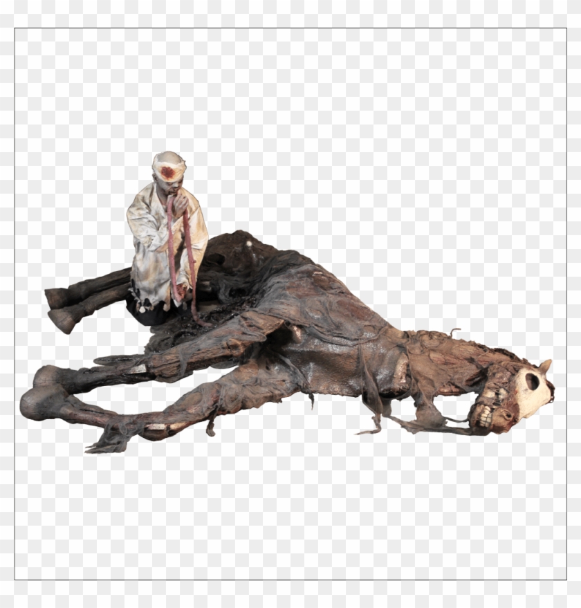 Horse #963140