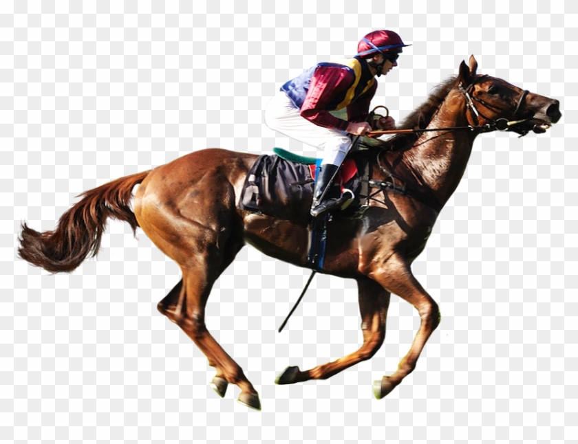 Horse Racing Transparent Background Image - Horse Logo With Transparent Background #963170