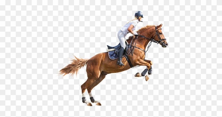 Download Png Image Report - Polo Horse Png #963224