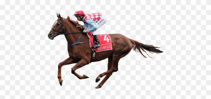 Have You At Any Point Ceased To Ask Why You Have Not - Melbourne Cup Horse Transparent #963234