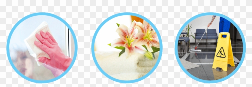 Ae Andrade Housekeeping - Prevencin De Riesgos Y Gestin Medioambiental Cp Certificado #963473