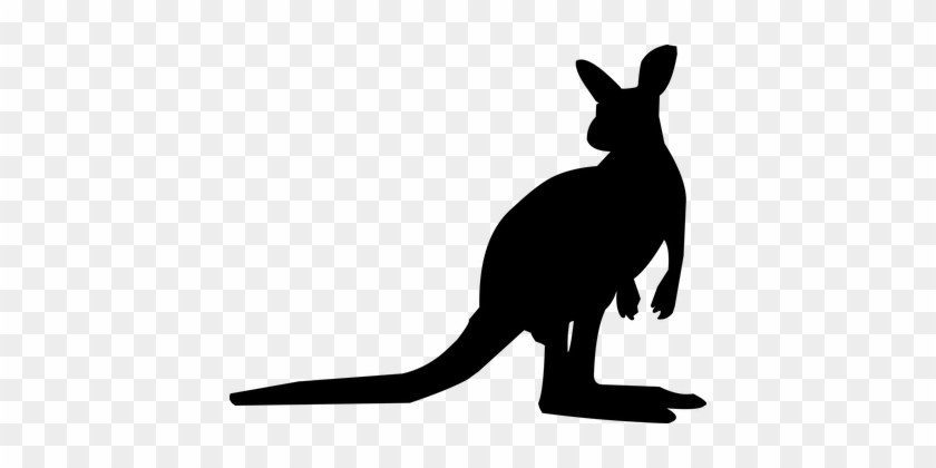 Kangaroo, Silhouette, Animal, Australia - Kangaroo Silhouette Png #963729