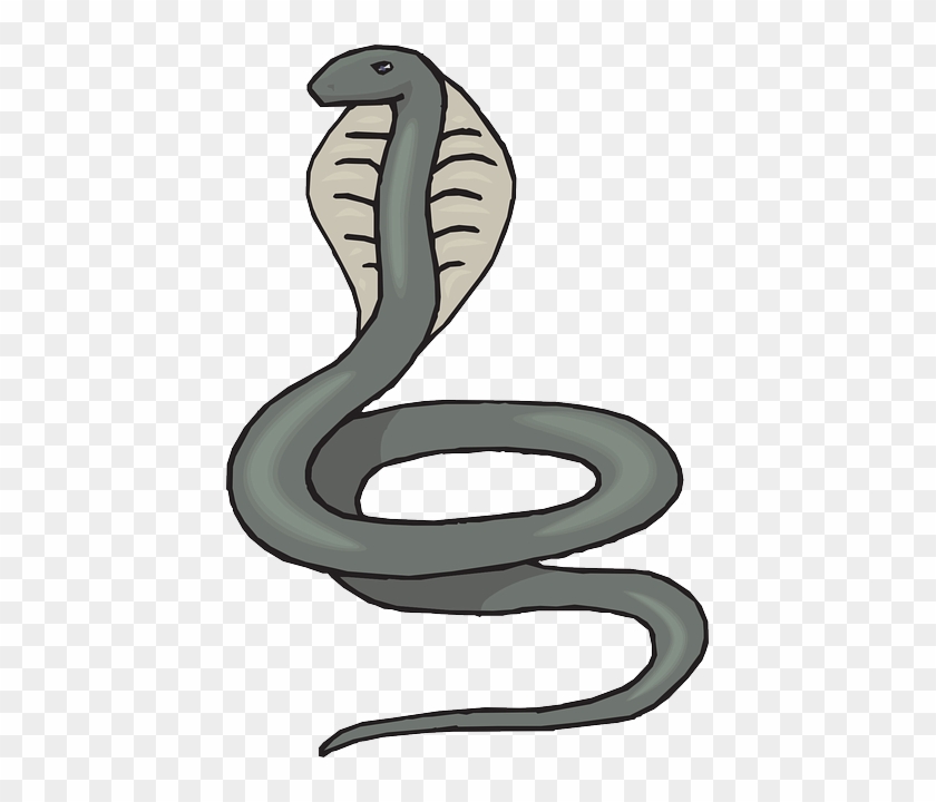 Gray Cobra Clip Art - Cobra Clipart #963791