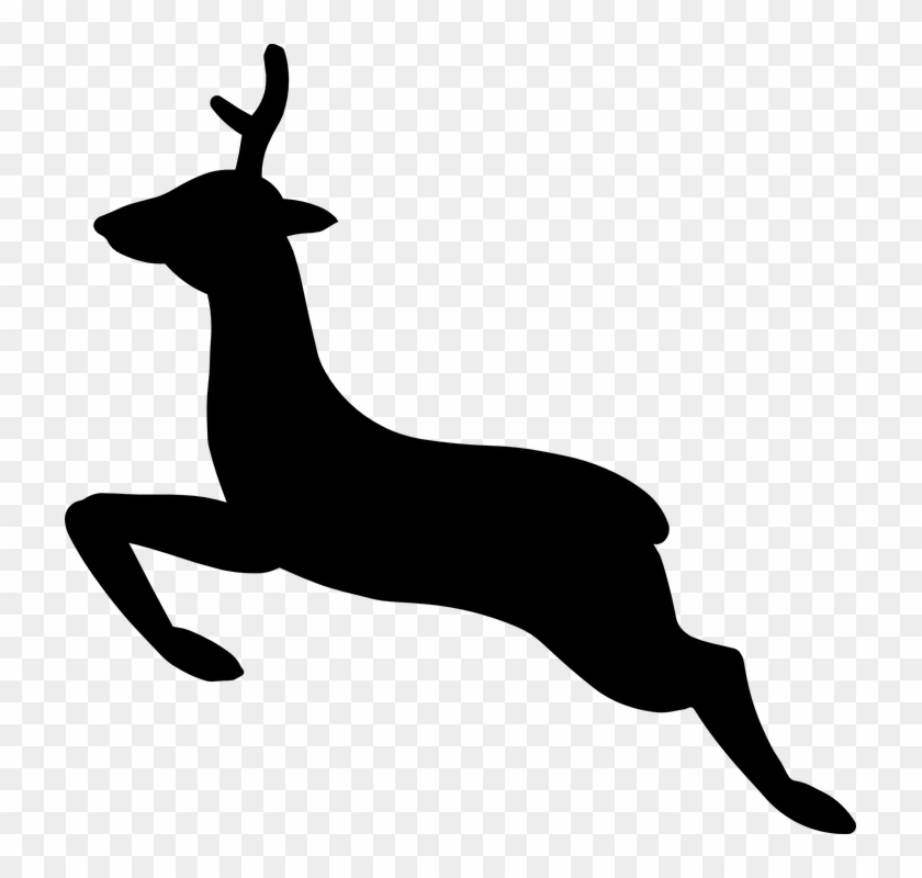 Stag Clipart Wild Animal - Christmas Deer Vector Png #963901