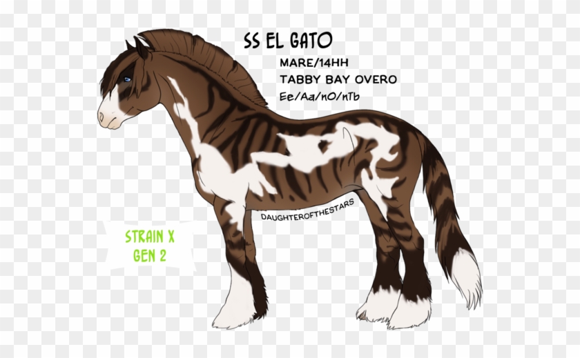 Tabitha By Daughterofthestars - Stallion #963918