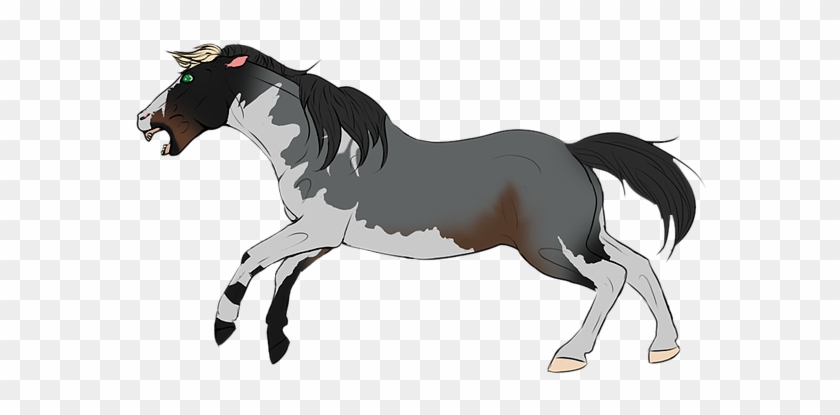 I Have A Lot O - Stallion #963972