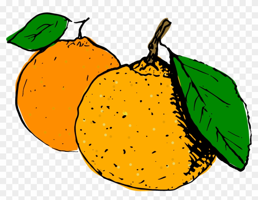 Clementines Clementines Free Transparent Png Clipart Images Download Clementines Clementines Free Transparent Png Clipart Images Download