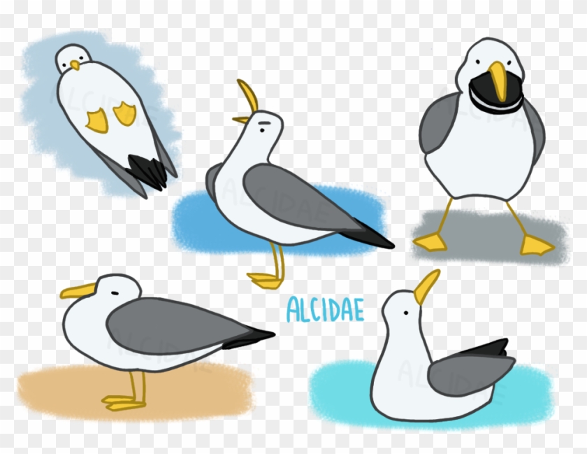 Seagull Time By Alcidae - Cartoon #964033